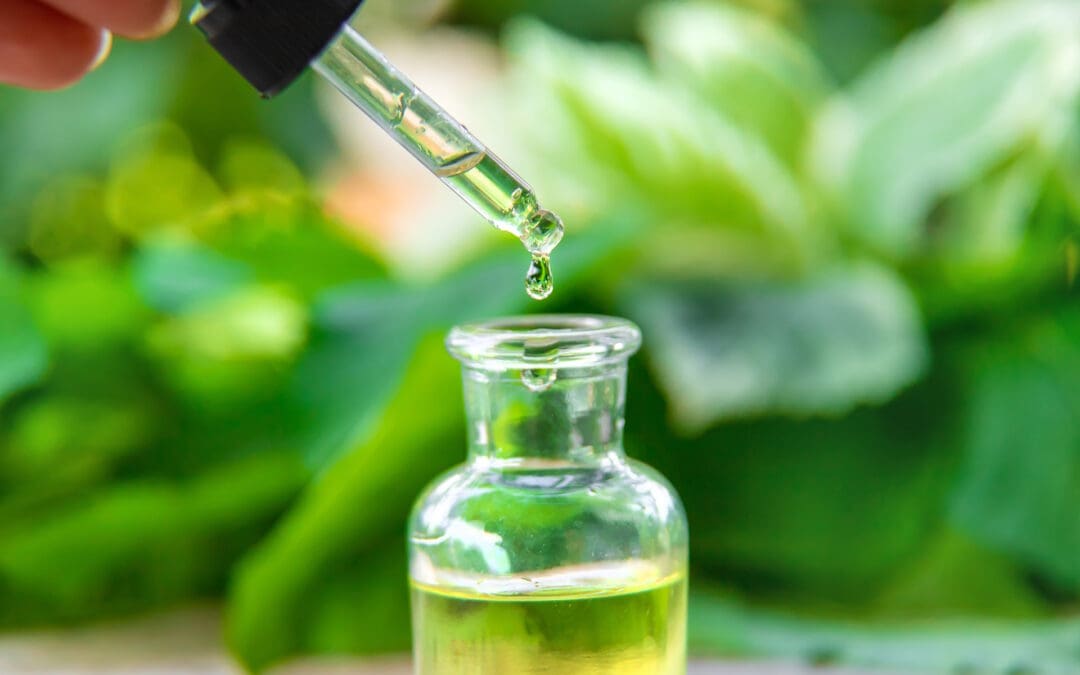 CBD May Help Prevent And Alleviate Alzheimer’s Disease, Study Finds