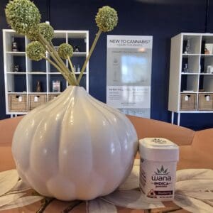 Wana - Blueberry Gummies