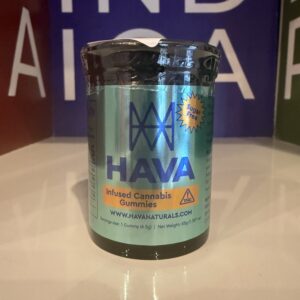 HAVA - Blueberry Sugar Free 100mg